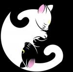 Avatar użytkownika